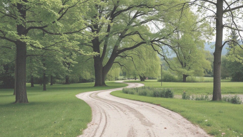 Jakie są zalety spacerów w parkach regionu Śląska?