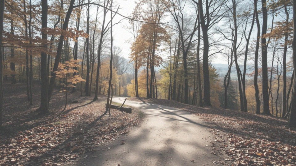 Jakie są najpopularniejsze miejsca na spacery z psami w Katowicach?