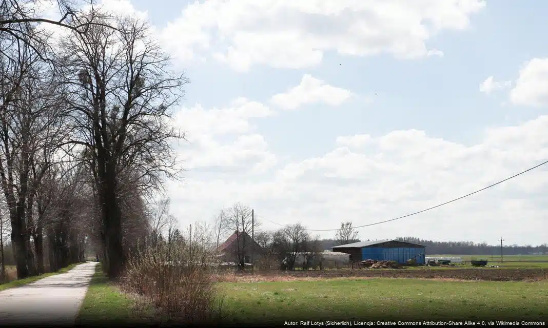 Możliwość zgłaszania uwag do oferty „Obóz sportowy – wakacje na sportowo”