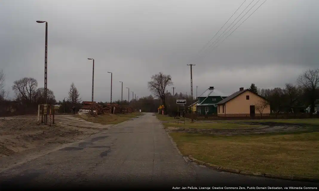 Statystyki demograficzne Gminy Gorzyce za rok 2025